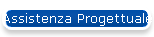 Assistenza Progettuale
