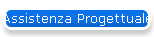 Assistenza Progettuale